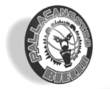 PALLACANESTRO BIELLA